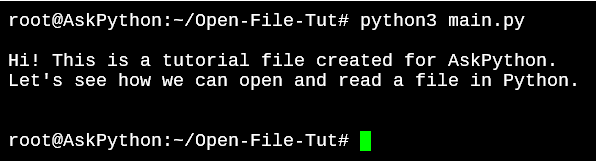 Python Open File Output