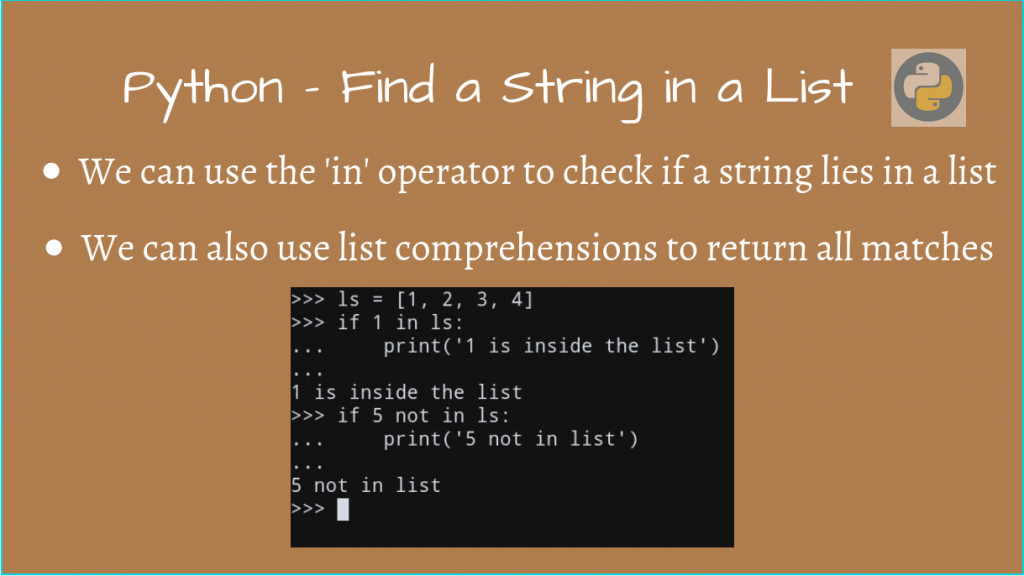 Python Find String In List