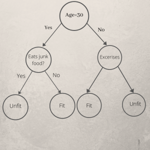 Decision Trees in Python - Step-By-Step Implementation - AskPython