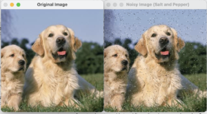 Guide to Adding Noise Images with Python and OpenCV - AskPython