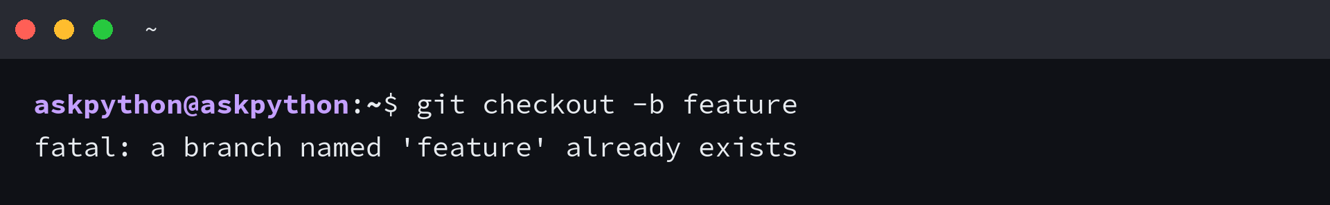 Terminal showing git checkout -b feature creating and switching to new branch