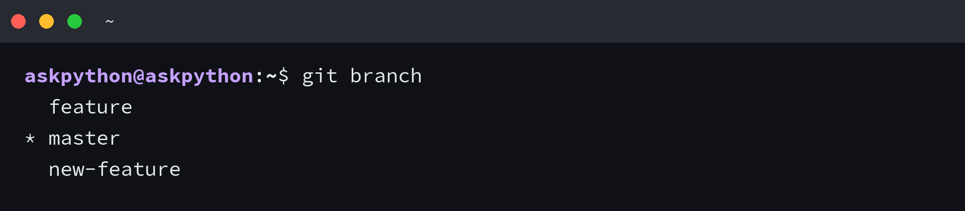 Terminal showing git branch command confirming new feature branch exists