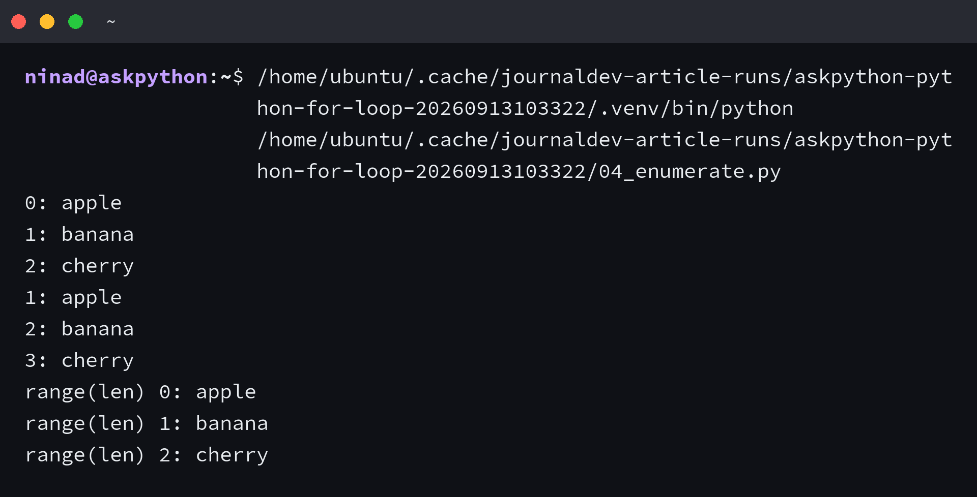 Python enumerate vs range(len) side by side output