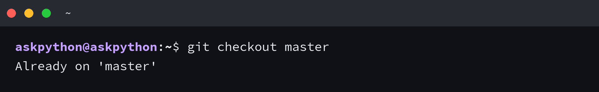 Terminal showing git checkout master switching back to master branch