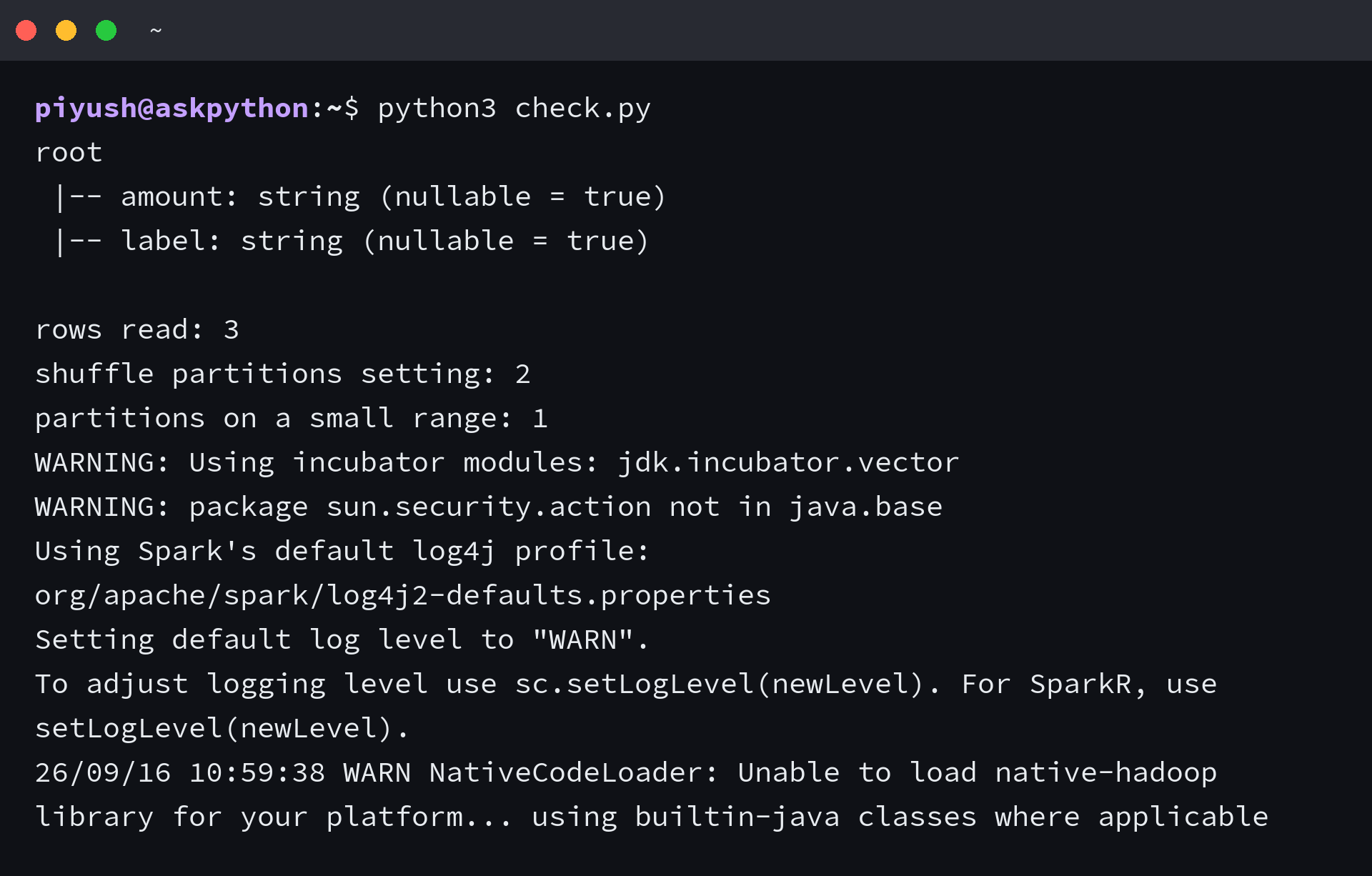 Terminal output from python3 check.py showing a mixed amount column inferred as string, three rows read, the shuffle partition setting of 2 and one partition on a small range