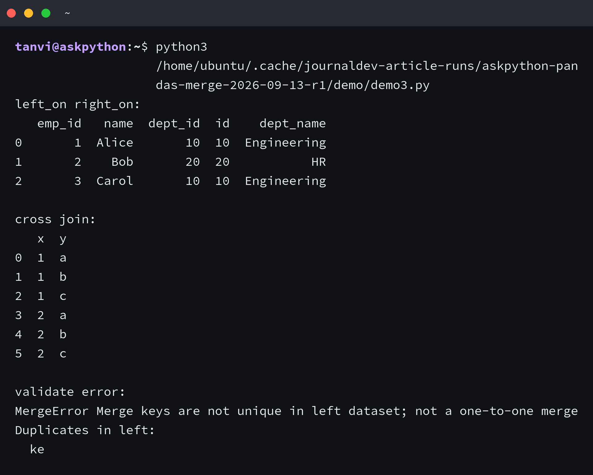 Terminal output showing left_on right_on, cross join, and validate error