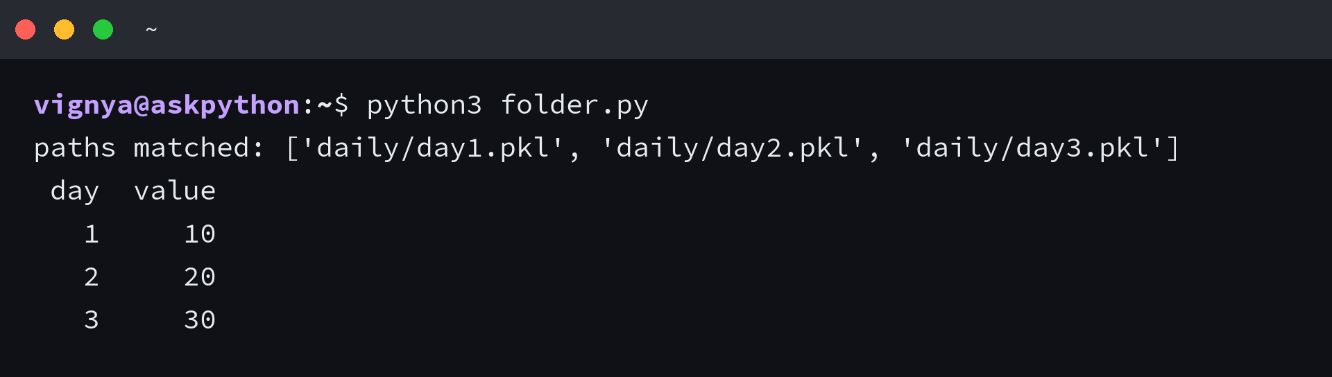 Terminal output from python3 folder.py listing three matched pickle paths and the combined three row DataFrame