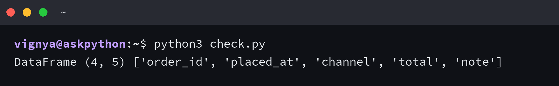Terminal output from python3 check.py printing the loaded object type, its shape and its column list