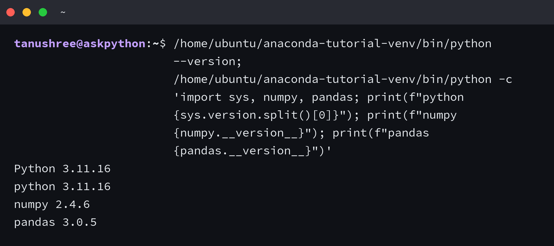 Terminal showing Python and package versions