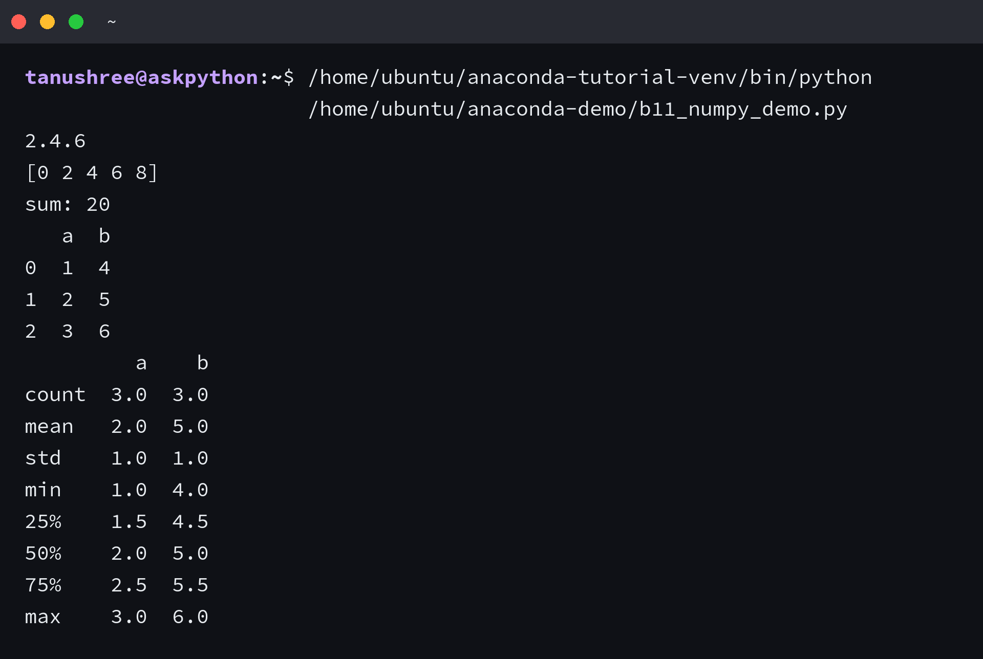 Terminal showing numpy and pandas demo output