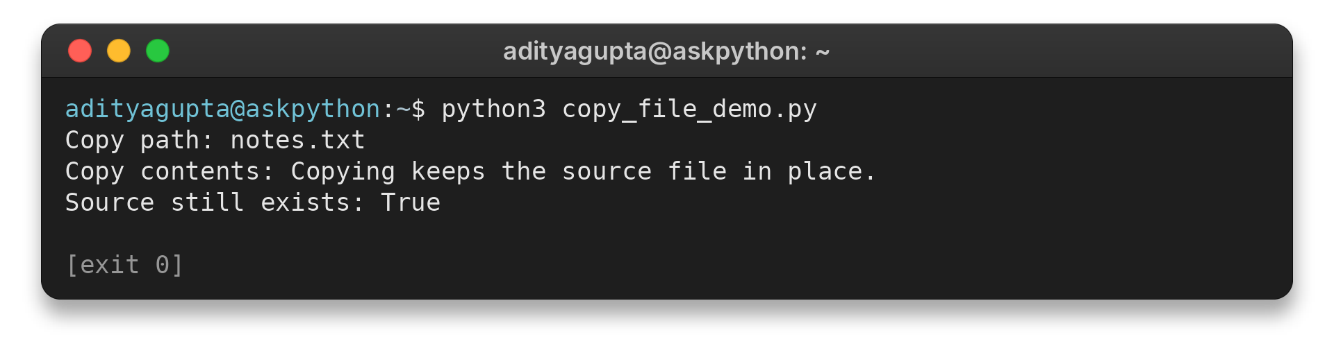 Terminal output from a Python shutil.copy example