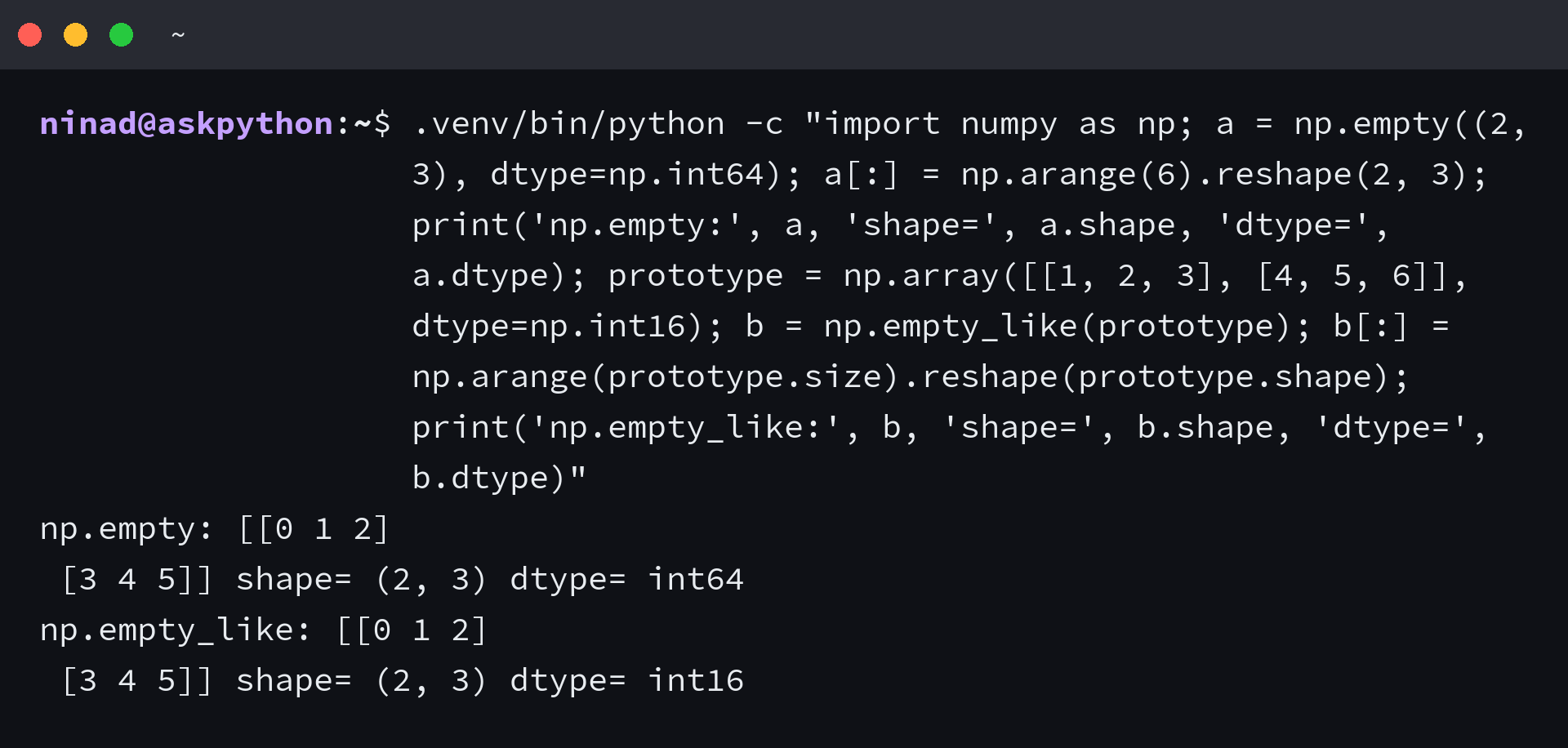NumPy empty array after every element is assigned