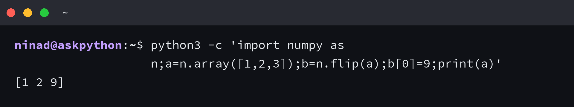 NumPy output showing a write through np.flip changes the source array