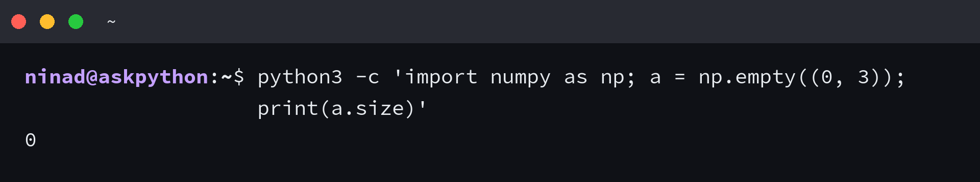 NumPy zero-element array size output in a terminal