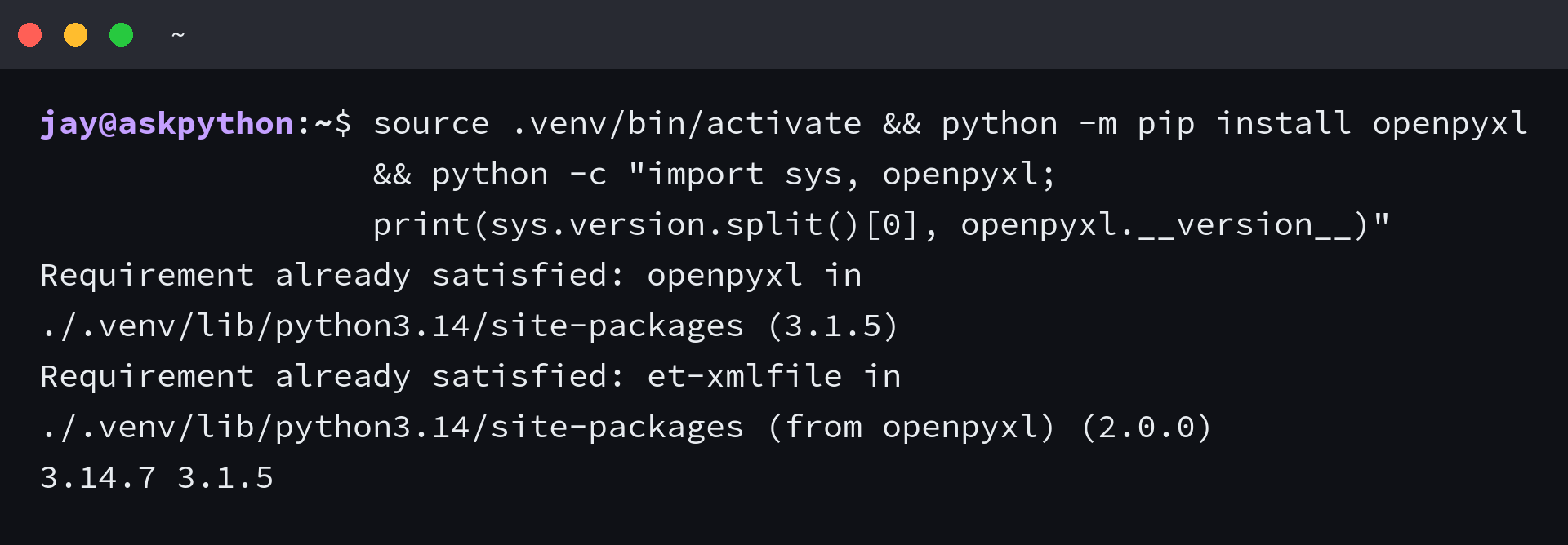 openpyxl 3.1.5 imported from the project virtual environment