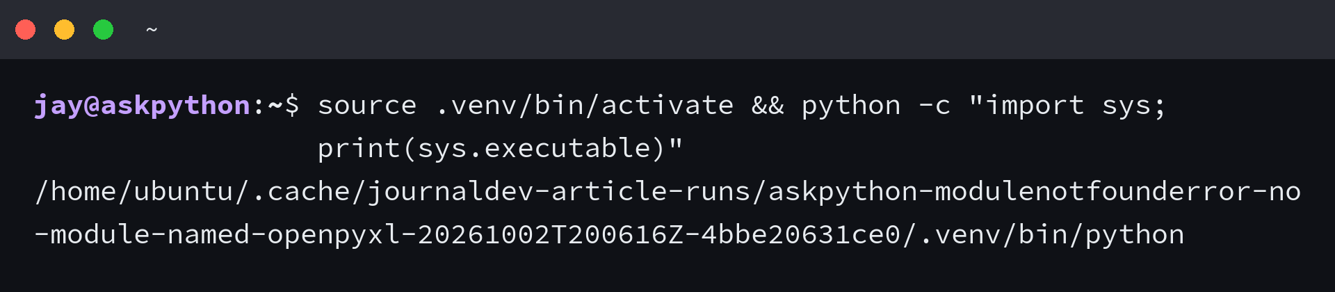 Python executable path in the activated project environment